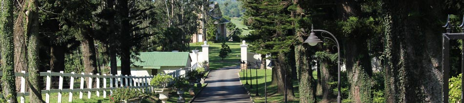 Kearsney Manor driveway